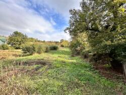 ������ ������, �.������ ������ ���� 3