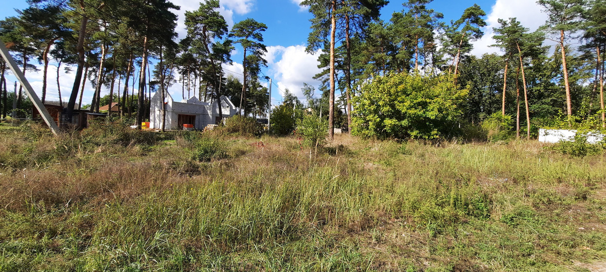 ������ ��������� ������� 10 ����� � �������. ���� 1