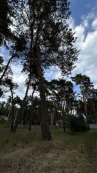 ������ �������� ������! 29��� ( 13 �� 16���) ������ ���� 3