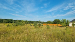 �������, �������� ������ �� �������� 10��� ���� 1