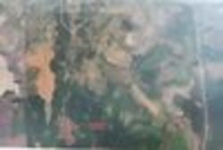 Продається ділянка Полтавська, Полтавський, Нижні Млини фото 12 Продається ділянка Полтавська, Полтавський, Нижні Млини фото 12