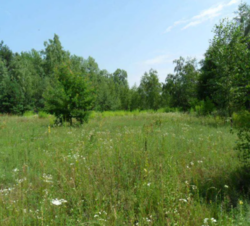 ������ ��� ������ �� ���������� � ������ �������� ������ ���� 5