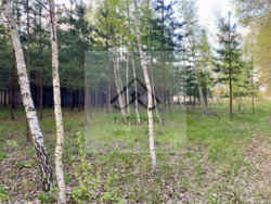 VIP ����� ������ � ��������� �� ��������� ����� �����. ���� 13