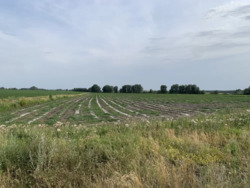 Верхоли земельна ділянка на трасі. фото 4 Верхоли земельна ділянка на трасі. фото 4