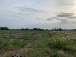 Верхоли земельна ділянка на трасі. фото 5 Верхоли земельна ділянка на трасі. фото 5