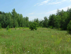 ������ ��� ������ �� ���������� � ������ �������� ������ ���� 4