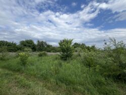 Земельна ділянка Полтава 11 000 $ фото 10 Земельна ділянка Полтава 11 000 $ фото 10