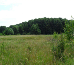 ������ ��� ������ �� ���������� � ������ �������� ������ ���� 1