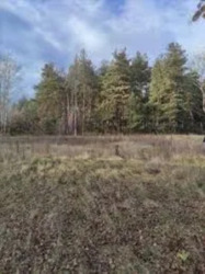 Земельна ділянка Верхоли зі стареньким будиночком фото 5 Земельна ділянка Верхоли зі стареньким будиночком фото 5