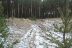 Земельна ділянка Верхоли зі стареньким будиночком фото 1 Земельна ділянка Верхоли зі стареньким будиночком фото 1