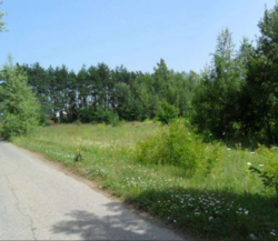 ������ ��� ������ �� ���������� � ������ �������� ������ ���� 6