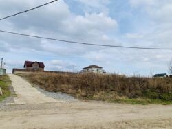 VIP �������� ������ ���������� ���� 7