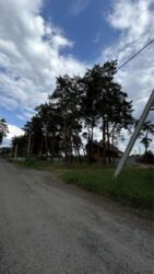 ������ �������� ������! 29��� ( 13 �� 16���) ������ ���� 1