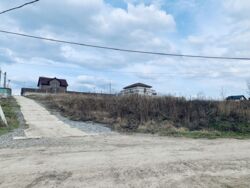 VIP �������� ������ ���������� ���� 5