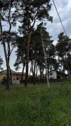 ������ �������� ������! 29��� ( 13 �� 16���) ������ ���� 5